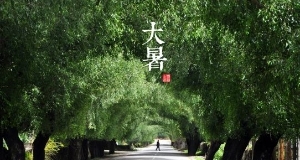 春天廣告設(shè)備放假通知